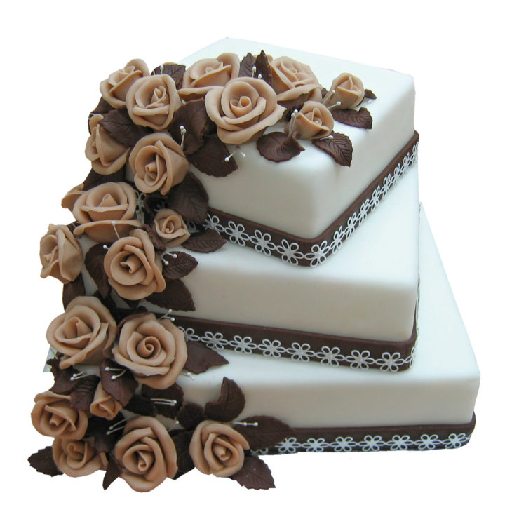 Patrový čtvercový dort s kaskádou růží