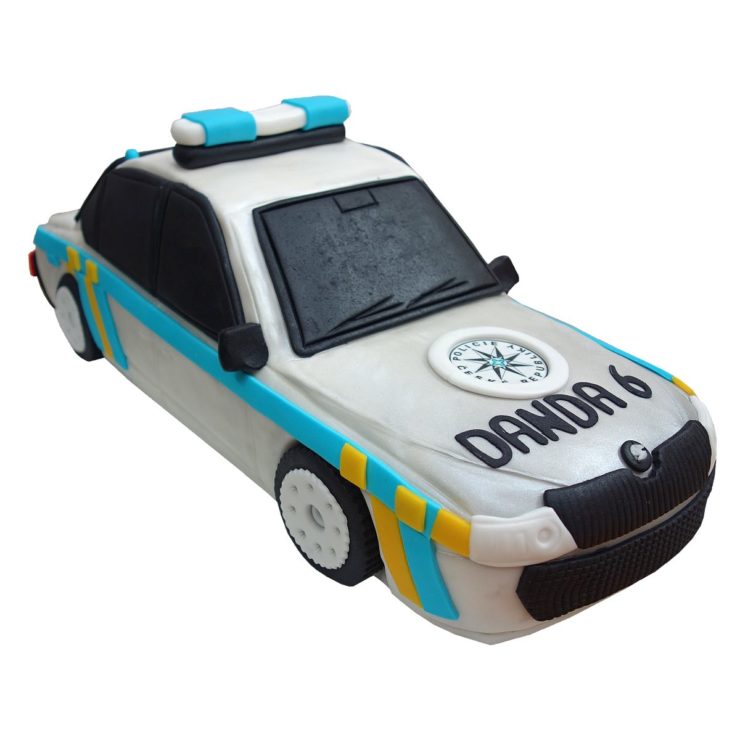 Policejní auto
