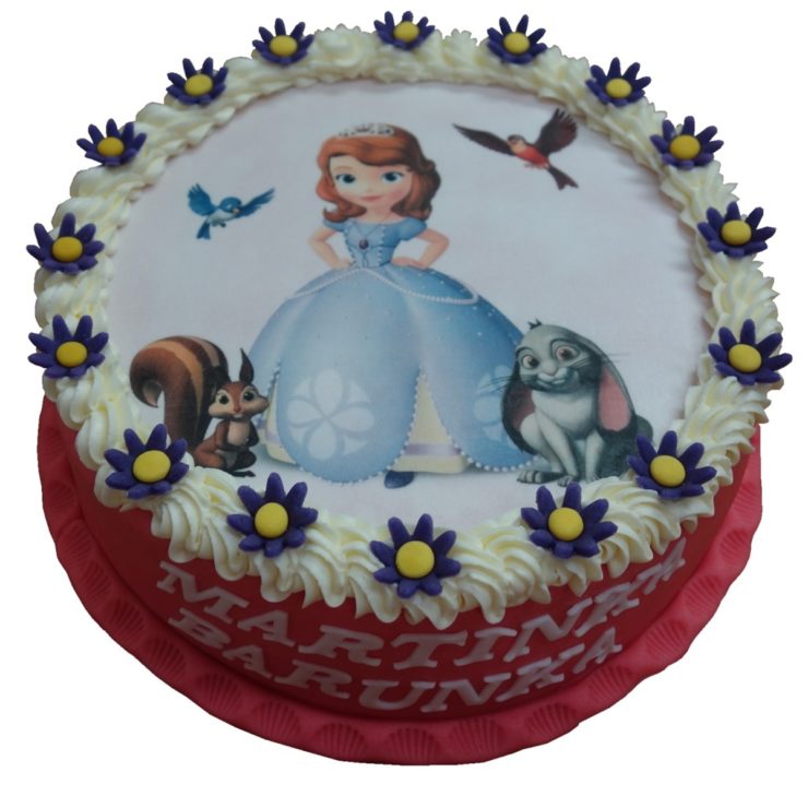 Dort s princeznou Sofií